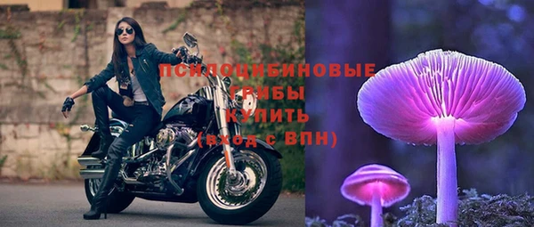 бошки Алексеевка