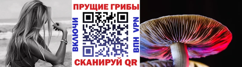 Псилоцибиновые грибы Cubensis  МЕГА рабочий сайт  Ермолино 